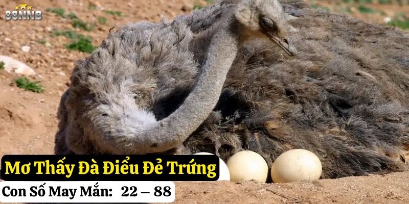 mơ thấy đà điểu