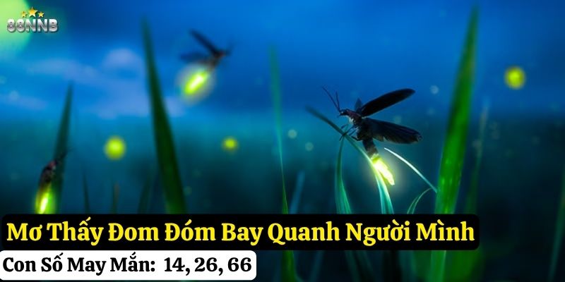 mơ thấy đom đóm