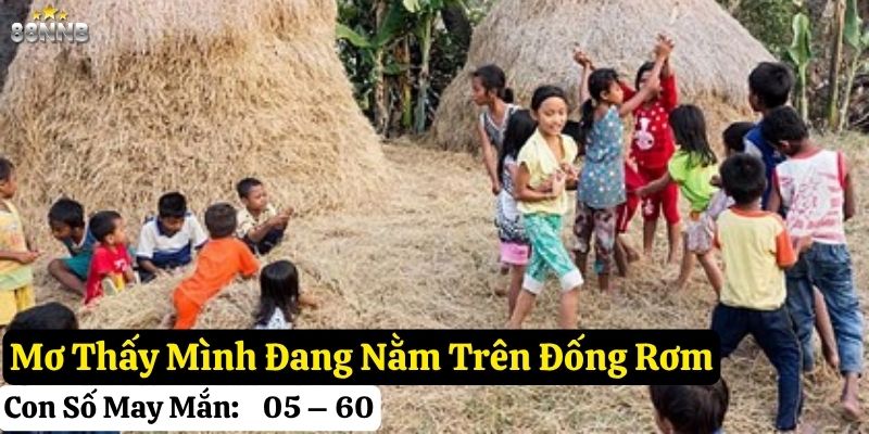 mơ thấy đống rơm