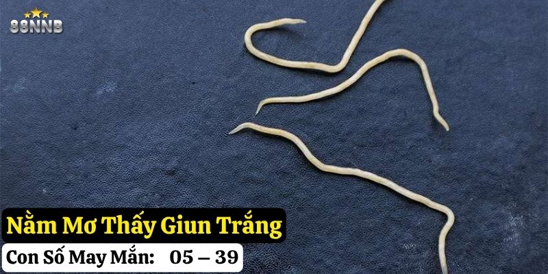 nằm mơ thấy giun