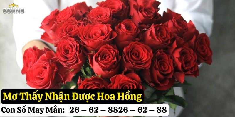 nằm mơ thấy hoa hồng
