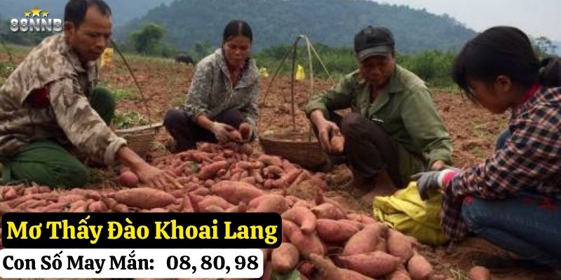 mơ thấy khoai lang