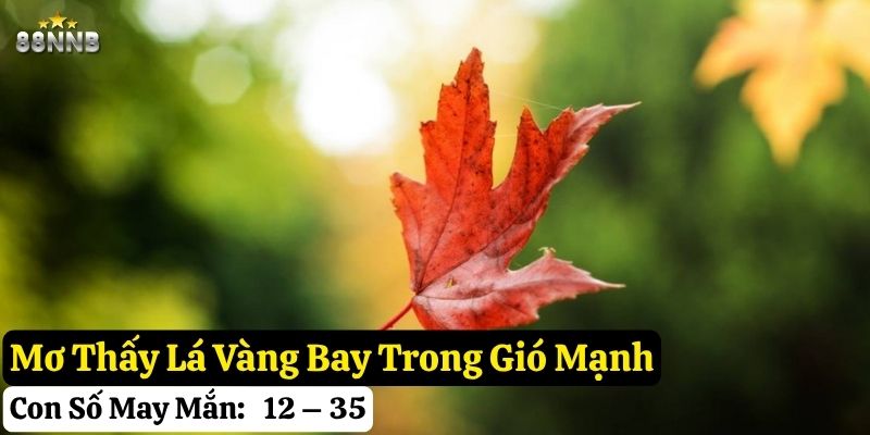 mơ thấy lá vàng bay