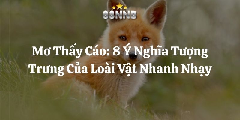 mơ thấy cáo 88nn thumb