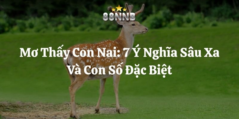 mơ thấy con nai 88nn thumb