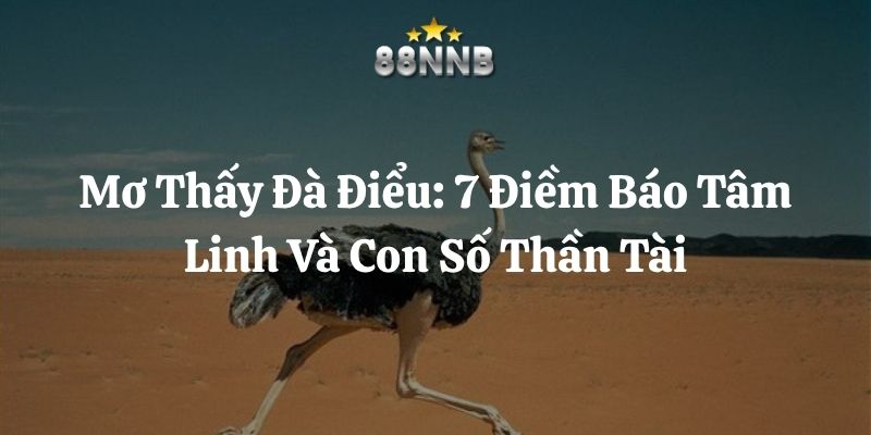 mơ thấy đà điểu 88nn thumb