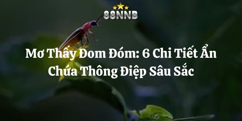 mơ thấy đom đóm 88nn thumb