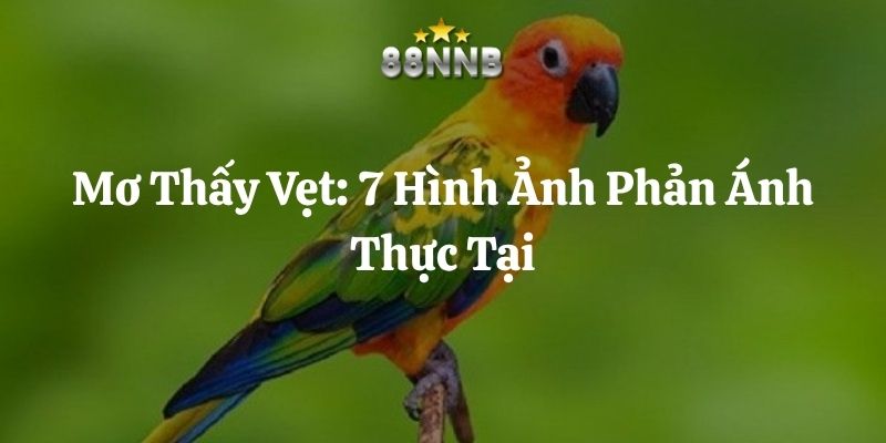mơ thấy vẹt 88nn thumb