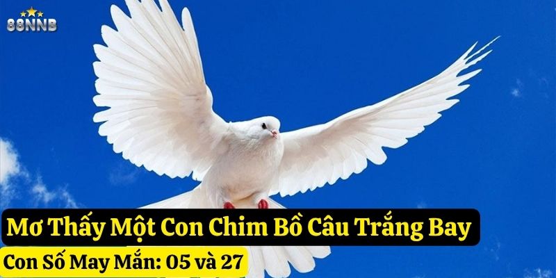 mơ thấy chim bồ câu