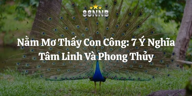 nằm mơ thấy con công 88nn thumb