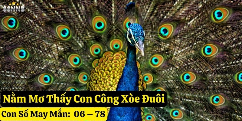 mơ thấy con công