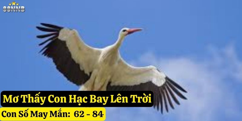 nằm mơ thấy con hạc