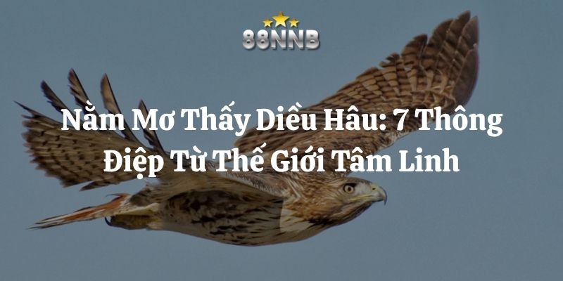 nằm mơ thấy diều hâu 88nn thumb