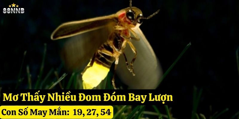 nằm mơ thấy đom đóm