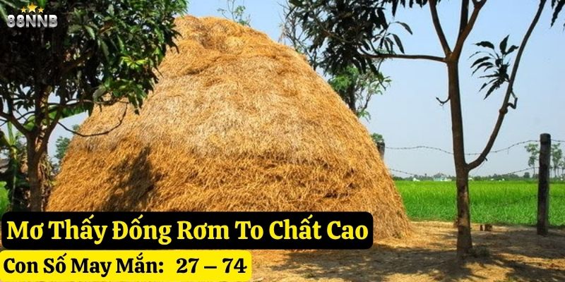 nằm mơ thấy đống rơm