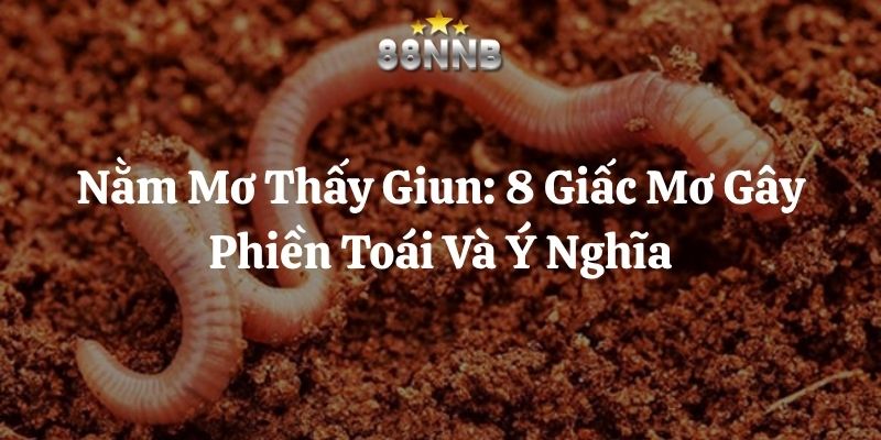 nằm mơ thấy giun 88nn thumb