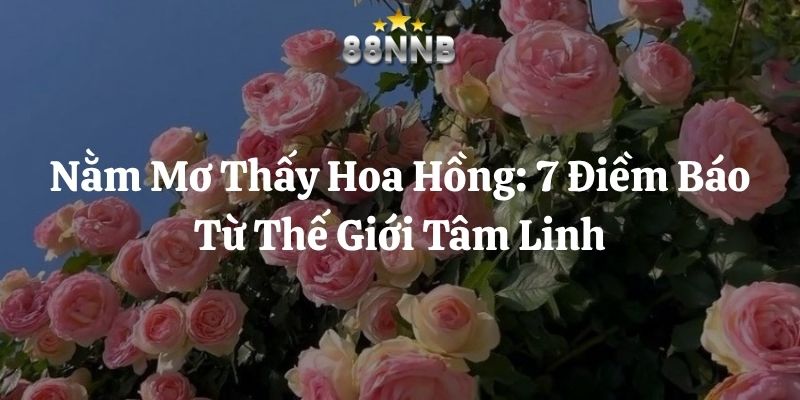 nằm mơ thấy hoa hồng 88nn thumb
