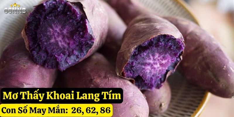 nằm mơ thấy khoai lang