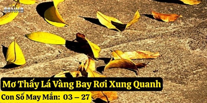 nằm mơ thấy lá vàng bay