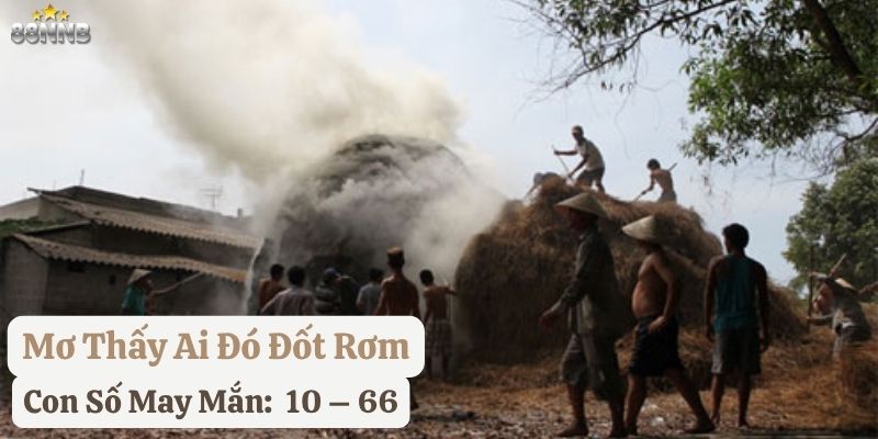 nằm mơ đống rơm