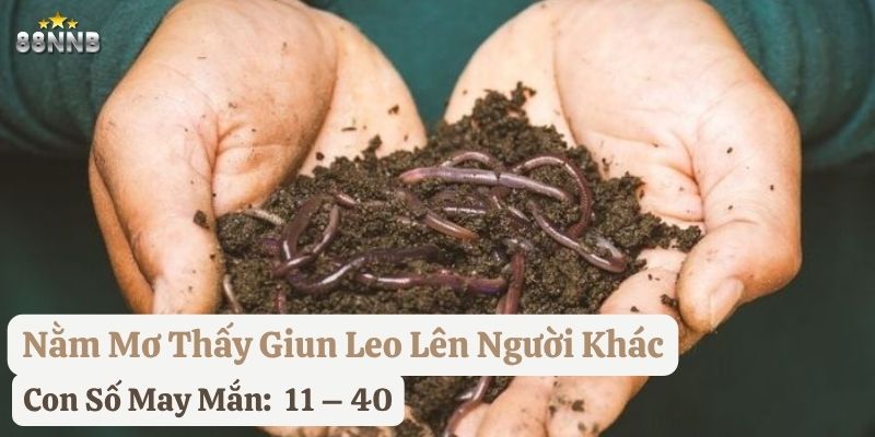 nằm mơ thấy con giun