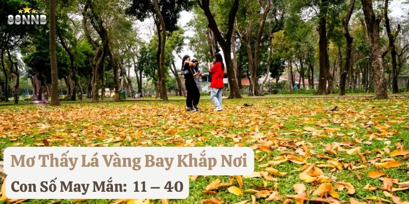 nằm mơ lá vàng bay