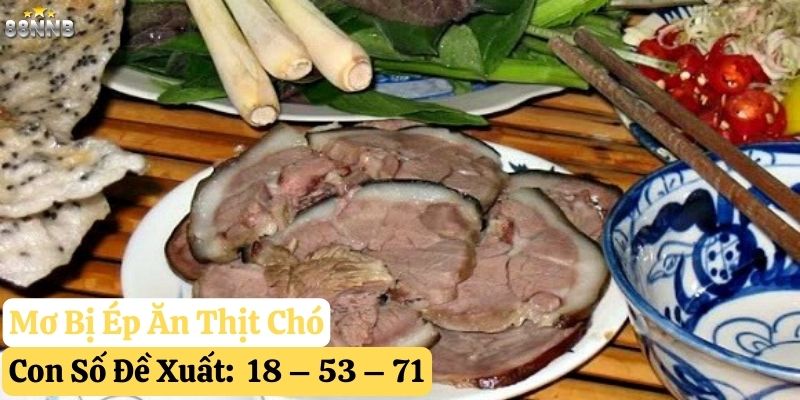 nằm mơ ăn thịt chó