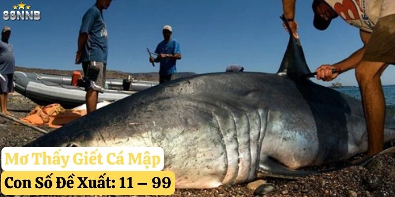 nằm mơ thấy cá mập