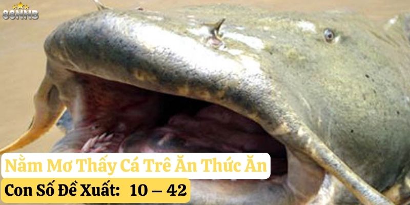 nằm mơ thấy cá trê 88nn