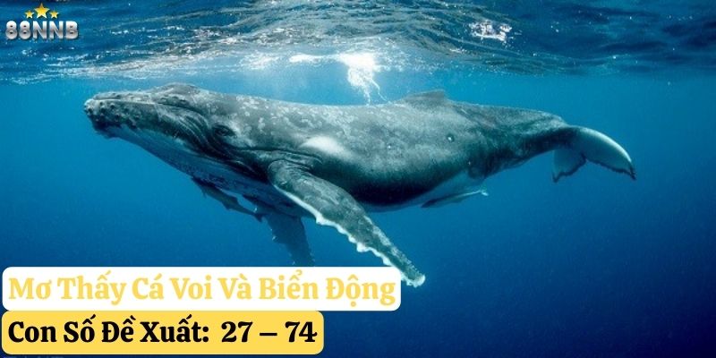 nằm mơ thấy cá voi