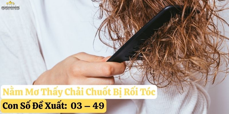 nằm mơ chải chuốt