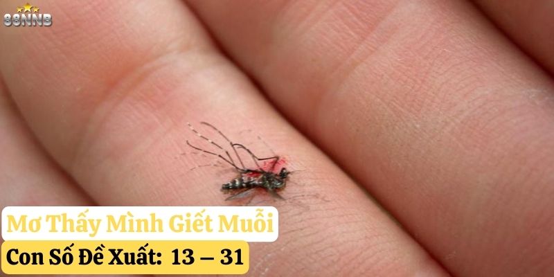 nằm mơ thấy con muỗi 88nn