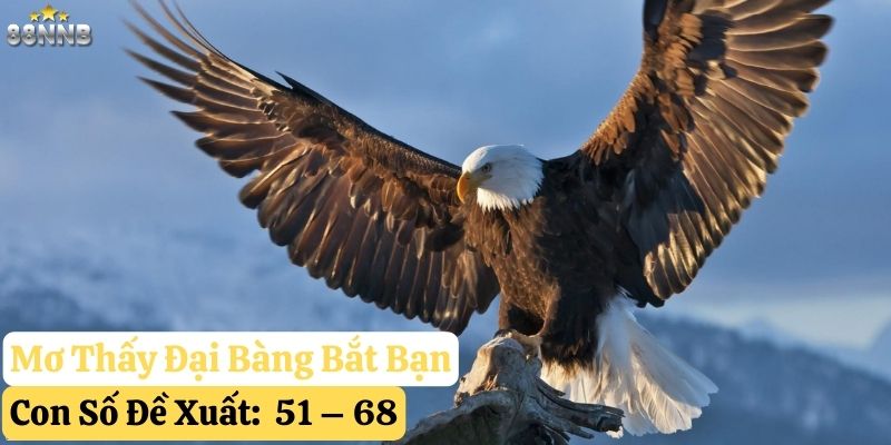 nằm mơ đại bàng