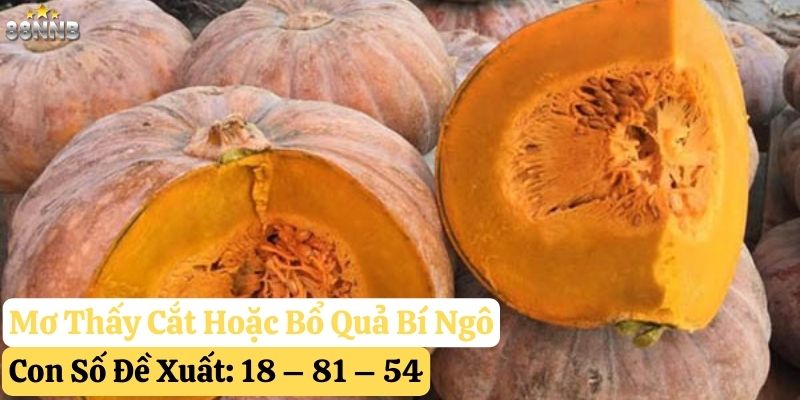 mơ quả bí ngô