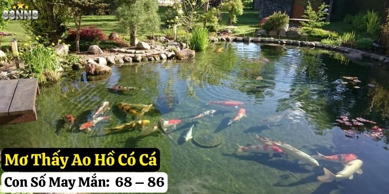 mơ thấy ao hồ