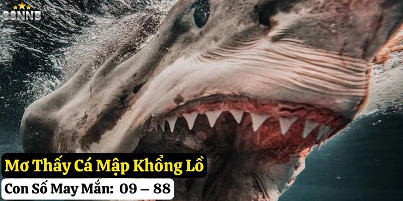 mơ thấy cá mập