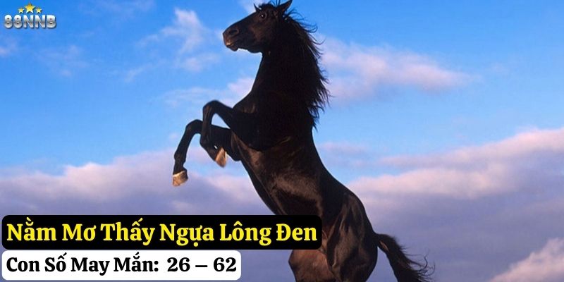 nằm mơ thấy ngựa