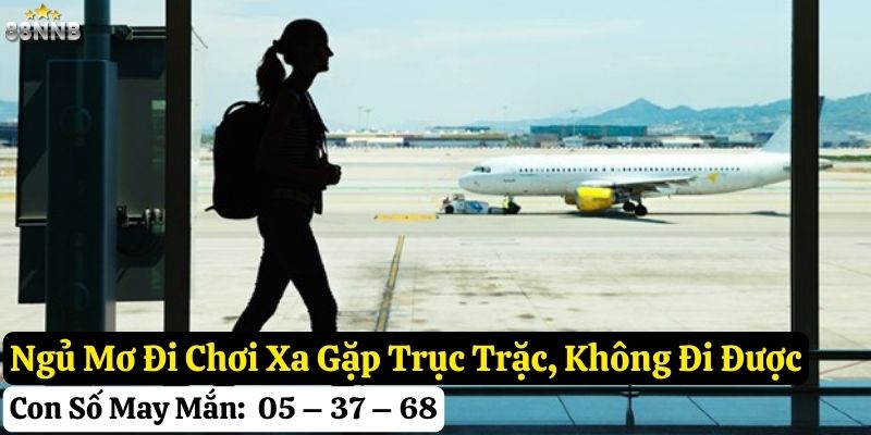 ngủ mơ đi chơi xa