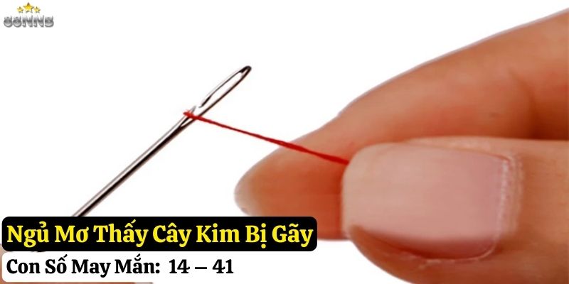nằm mơ thấy cây kim