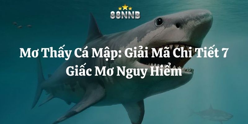 mơ thấy cá mập 88nn thumb