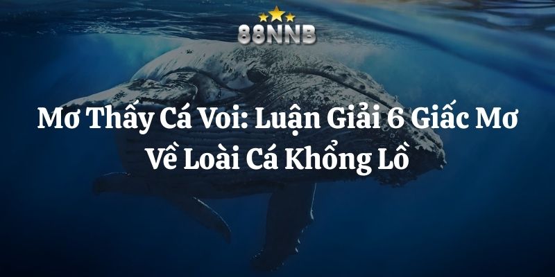 mơ thấy cá voi 88nn thumb
