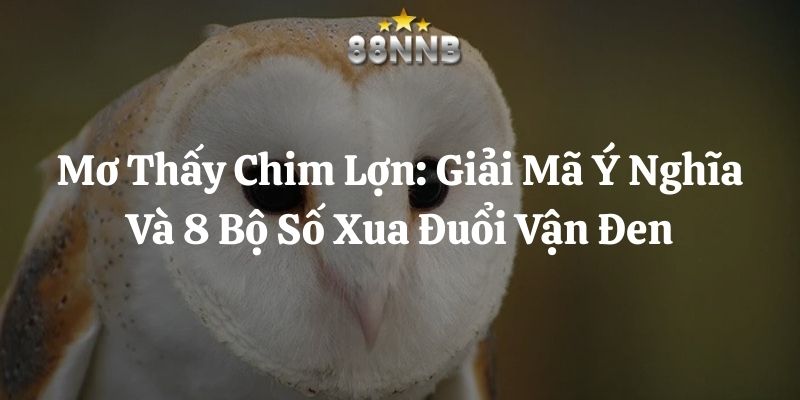mơ thấy chim lợn 88nn thumb