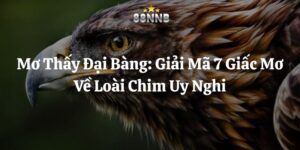 mơ thấy đại bàng 88nn thumb