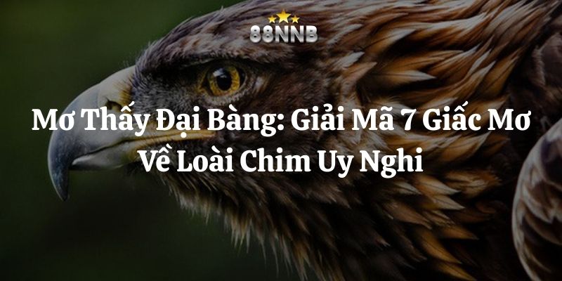 mơ thấy đại bàng 88nn thumb