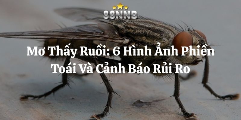 mơ thấy ruồi 88nn thumb