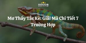mơ thấy tắc kè 88nn thumb