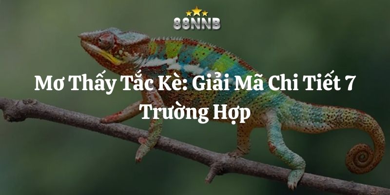 mơ thấy tắc kè 88nn thumb