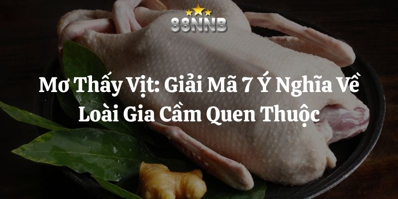 mơ thấy vịt 88nn thumb