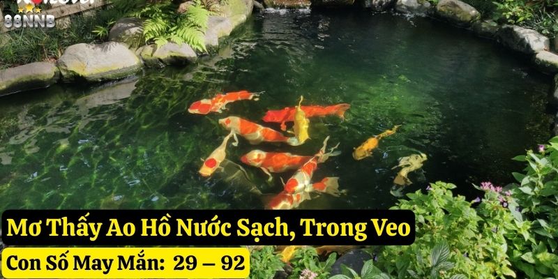 mơ thấy ao hồ 88nn
