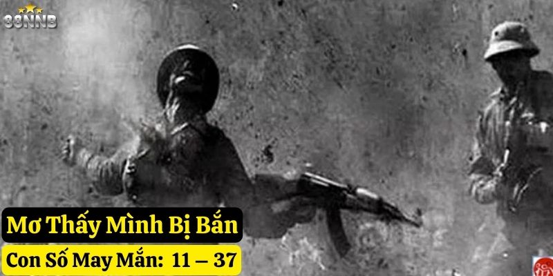 nằm mơ thấy bắn nhau 88nn